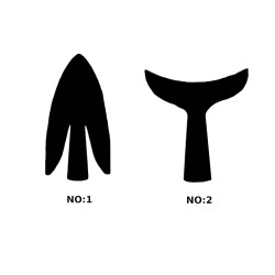 Ark Okçuluk - ARK OKÇULUK PLASTİK OK UCU