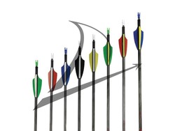 Karbon Ok - ONIX - Pin Arkalıklı - ASES
