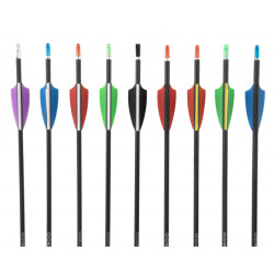 Karbon Ok - CRUX - PIN ARKALIKLI - Monk Archery