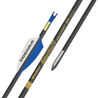 Pandarus Ice Point Profesyonel Karbon Ok - 1